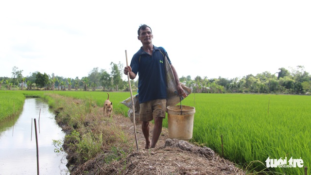 Ông mù mần ruộng, bắt lươn - Ảnh 2.
