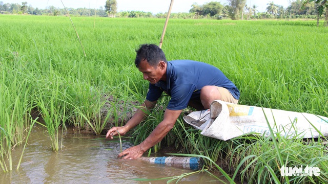 Ông mù mần ruộng, bắt lươn - Ảnh 1.