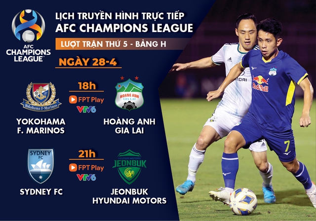 Lịch trực tiếp AFC Champions League: Yokohama FM - HAGL  - Ảnh 1.
