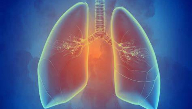Lần đầu phát hiện hạt vi nhựa ở sâu trong phổi của người sống - Ảnh 1.