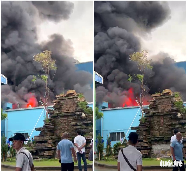 Cháy lớn tại Công ty sợi MeKong ở Khu công nghiệp Long Giang - Ảnh 1.