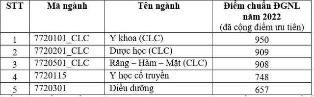 Khoa Y ĐH Quốc gia TP.HCM: điểm chuẩn đánh giá năng lực ngành y khoa 950 - Ảnh 3.