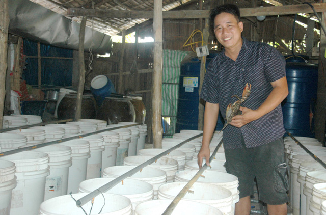 Độc đáo mô hình nuôi cua biển trong hộp nhựa đầu tiên tại Ninh Bình  Kinh  nghiệm làm ăn  Báo ảnh Dân tộc và Miền núi