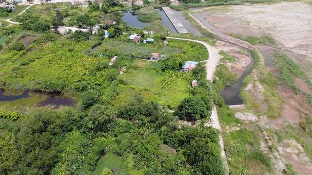 Hải Phòng nói gì về việc bà cụ 75 tuổi chết sau vụ cưỡng chế thu hồi đất? - Ảnh 1.