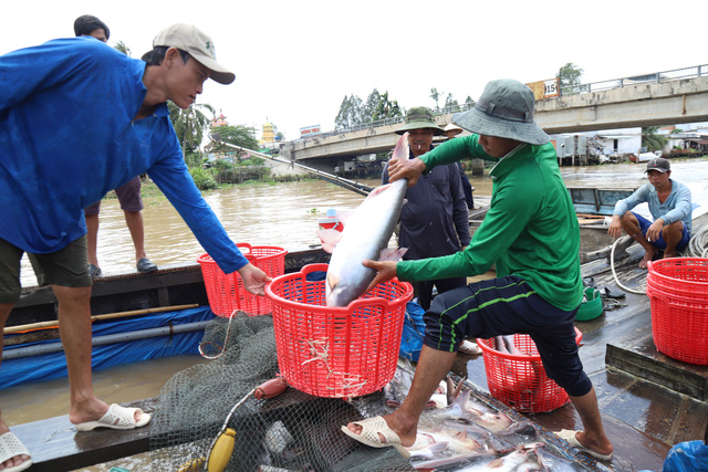 Tin sáng 6-9: Bảo đảm người bị thu hồi đất có cuộc sống sinh kế tốt hơn; Tăng phí đăng kiểm xe - Ảnh 2.