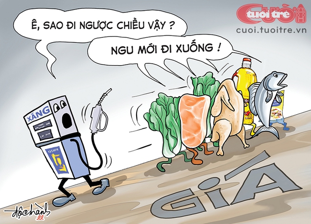 Lên đến đây rồi xuống làm chi? - Ảnh 1.