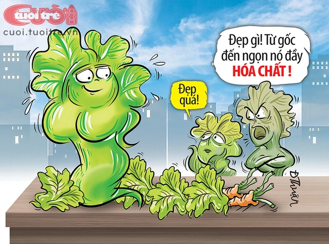 Người đẹp hóa chất - Ảnh 1.