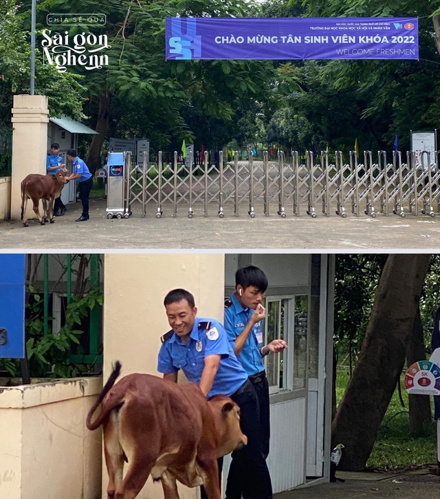 Ảnh vui 26-9: Chào mừng tân sinh viên khóa 2022! - Ảnh 1.