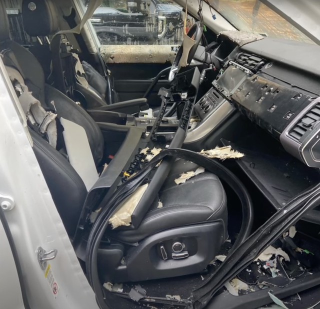 Chui vào xe Range Rover không biết đường ra, chú gấu xé tan nội thất xe tiền tỉ - Ảnh 1.