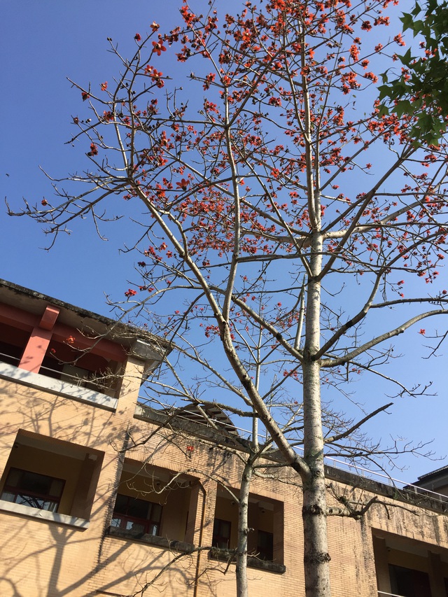 Bước, Đài Loan - Ảnh 3.