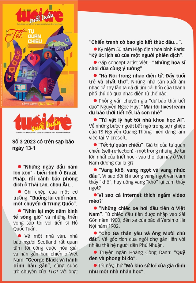Tuổi Trẻ Cuối Tuần chào Xuân Quý Mão: Tết tự quán chiếu - Ảnh 2.