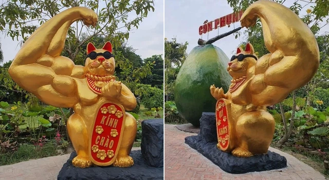 Mèo Tây Ninh sợ rớt nọng, mèo Suối Tiên mắt bụp mắt xòe - Ảnh 8.