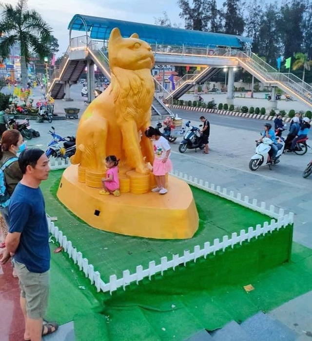 Mèo Tây Ninh sợ rớt nọng, mèo Suối Tiên mắt bụp mắt xòe - Ảnh 1.