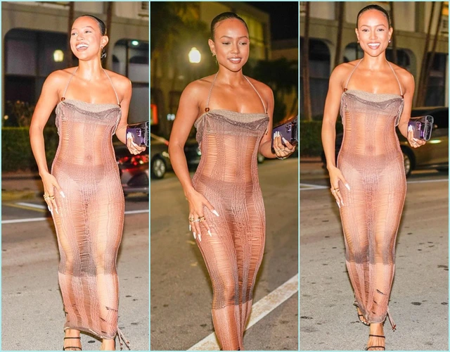 Mỹ nhân gốc Việt Karrueche Tran mặc váy ‘cái bang’ xuyên thấu đi… ăn tối - Ảnh 2.