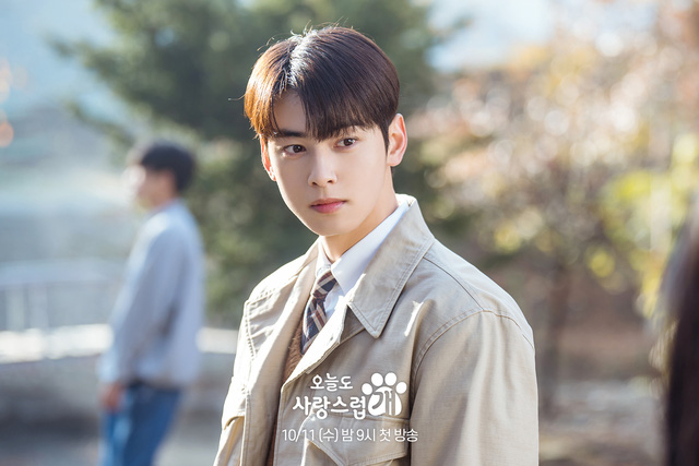 2 lý do bạn không nên bỏ lỡ phim mới của nam thần Cha Eun Woo - Ảnh 4.