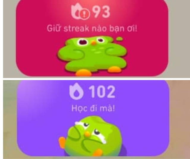 Cười ngất với ảnh chế linh vật Duolingo- Ảnh 9.