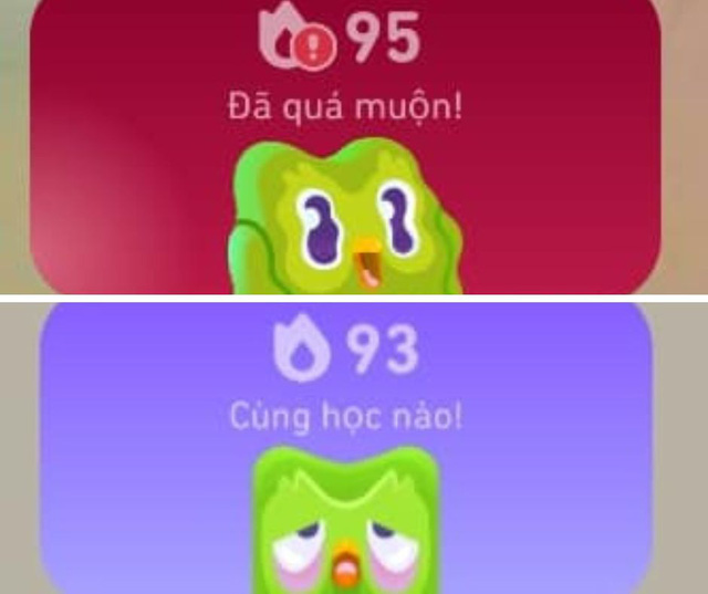 Cười ngất với ảnh chế linh vật Duolingo- Ảnh 10.