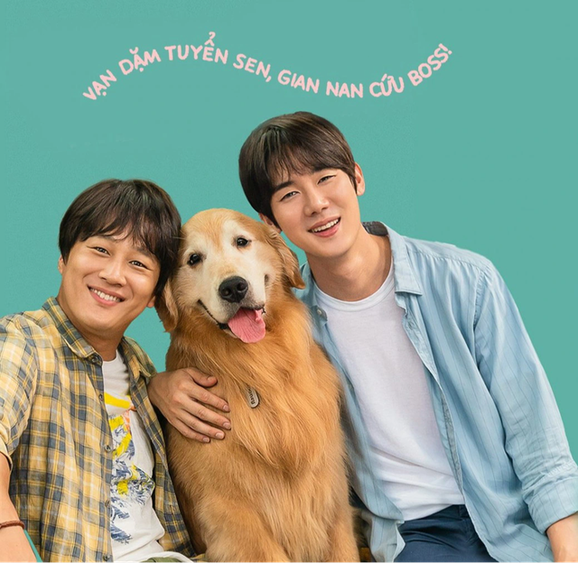 Ngày đẹp trời để trở thành cún và những phim Hàn dễ thương về động vật- Ảnh 3.