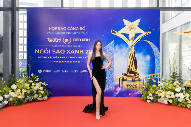 Loạt sao Việt kêu gọi bình chọn tại Giải thưởng Ngôi sao xanh tròn 10 tuổi- Ảnh 2.
