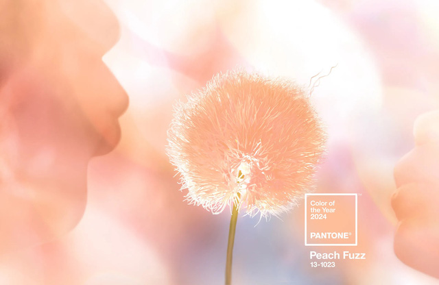  Peach Fuzz được Viện Pantone chọn là màu sắc của năm- Ảnh 1.