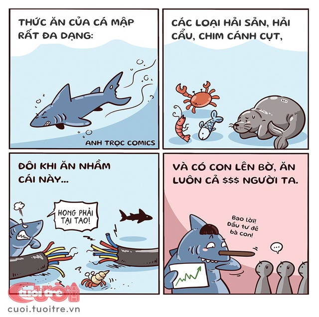 Cá mập ăn từ dưới nước lên trên cạn - Ảnh 1.
