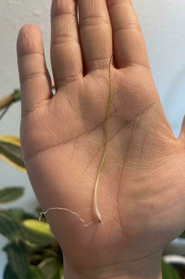 Dẹp ngay ý tưởng bỏ phố về rừng sau khi thấy loạt ảnh này - Ảnh 10.