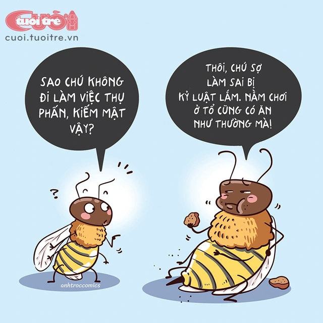 Chú ong thợ sợ làm sai - Ảnh 1.