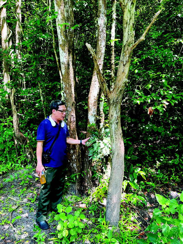 Trekking xuyên rừng Bình Châu - Phước Bửu - Ảnh 3.