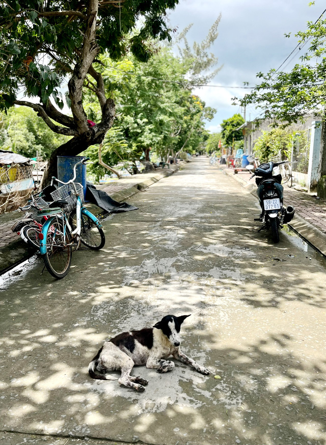 Ngày nắng giòn tan ở đảo Thiềng Liềng - Ảnh 3.