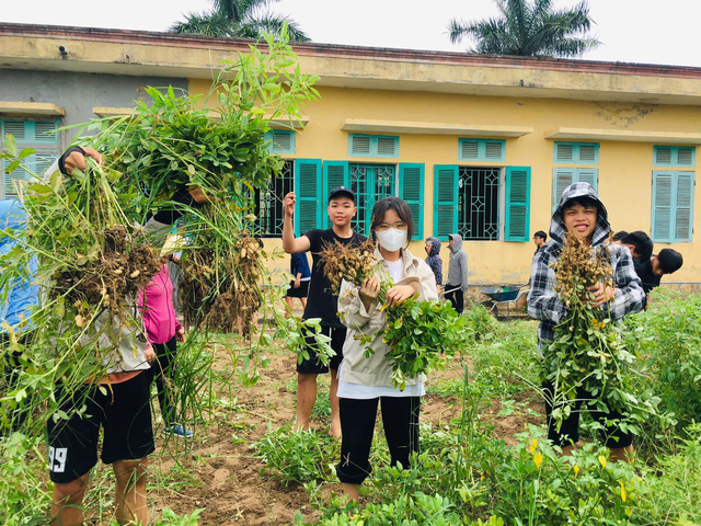 Teen Trường cấp III Nông nghiệp (Nam Định) học làm nông theo kiểu Nhật - Ảnh 2.