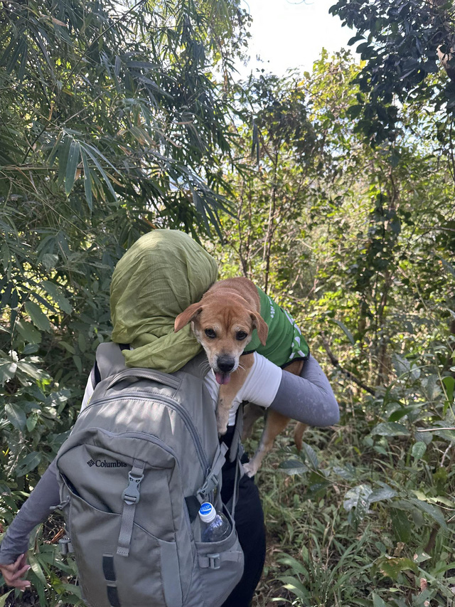 Mít được sẵm qua những đoạn khó khi trekking cùng chủ - ẢNH; PHƯƠNG AN