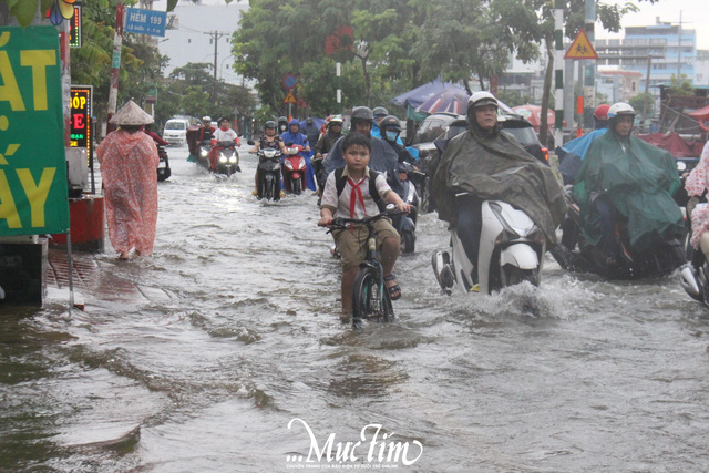 Mưa lớn, triều cường ngập nửa bánh xe, học sinh chật vật về nhà- Ảnh 1.