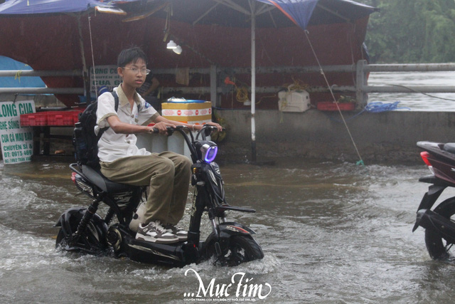 Mưa lớn, triều cường ngập nửa bánh xe, học sinh chật vật về nhà- Ảnh 14.