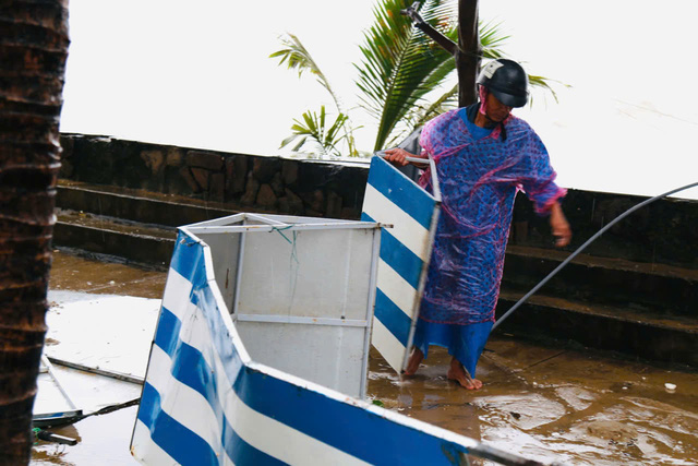 Sóng to, cây gãy nhiều nơi ở miền Trung do bão Trà Mi - Ảnh 1.