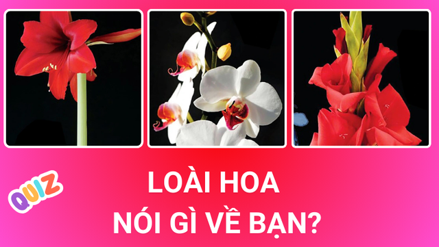 Các loài hoa tiết lộ điều gì về bạn?- Ảnh 1.