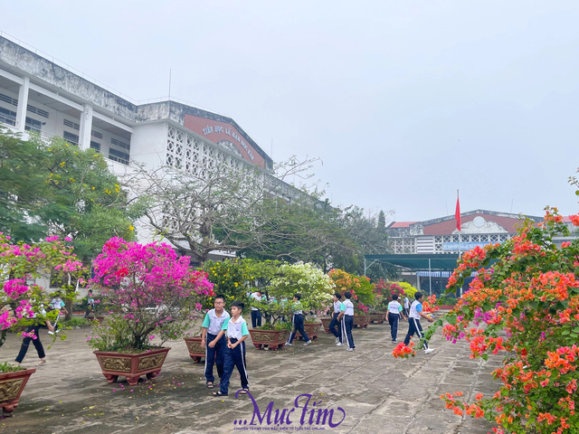 Những hình ảnh thân quen ở Trường THCS Lương Hòa Lạc- Ảnh 1.