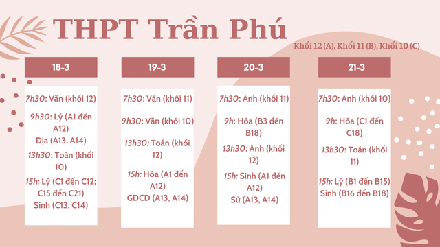 Học sinh TP.HCM sẵn sàng cho kỳ thi giữa kỳ 2- Ảnh 2.