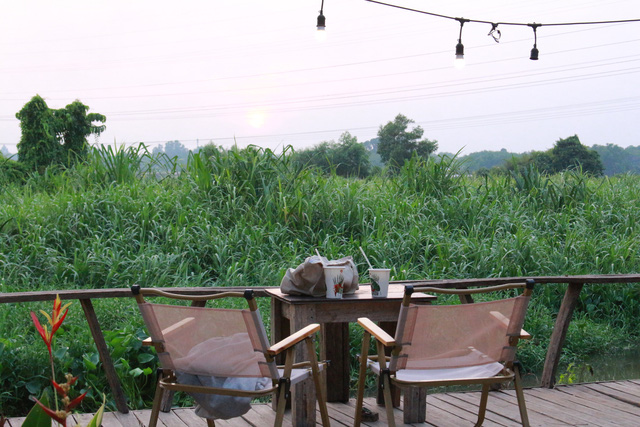 Uống cà phê bên cánh đồng là một trong những trải nghiệm khi cắm trại tại TP.HCM dịp Giỗ tỗ Hùng Vương năm nay- Ảnh: DUY DƯƠNG.