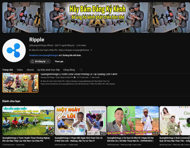 Độ Mixi, Quang Linh Vlogs mất kênh YouTube và nỗi lo bảo mật tài khoản- Ảnh 1.