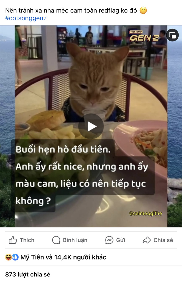 Một bài đăng có nội dung trêu chọc, "nói xấu" mèo cam trên Facbook nhận về lượt tương tác lớn - Ảnh: CHỤP MÀN HÌNH
