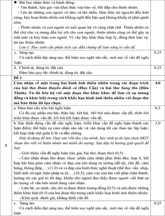 Đề tham khảo tuyển sinh lớp 10 môn ngữ văn kèm đáp án gợi ý- Ảnh 5.