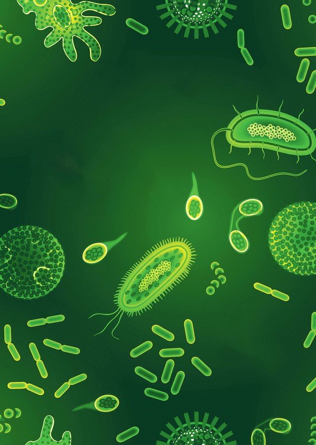 Công tắc khoa học: 'Mưu kế' của vi khuẩn khi chống lại kháng sinh- Ảnh 1.