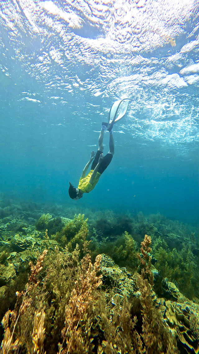Bơi lặn như cá tại đảo Phú Quý- Ảnh 3.