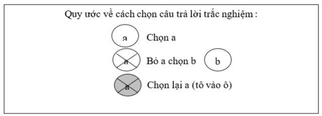 Sáng 25-5, chung kết Giải Lê Quý Đôn diễn ra tại Trường tiểu học Nguyễn Thái Sơn (quận 3, TP.HCM)- Ảnh 3.