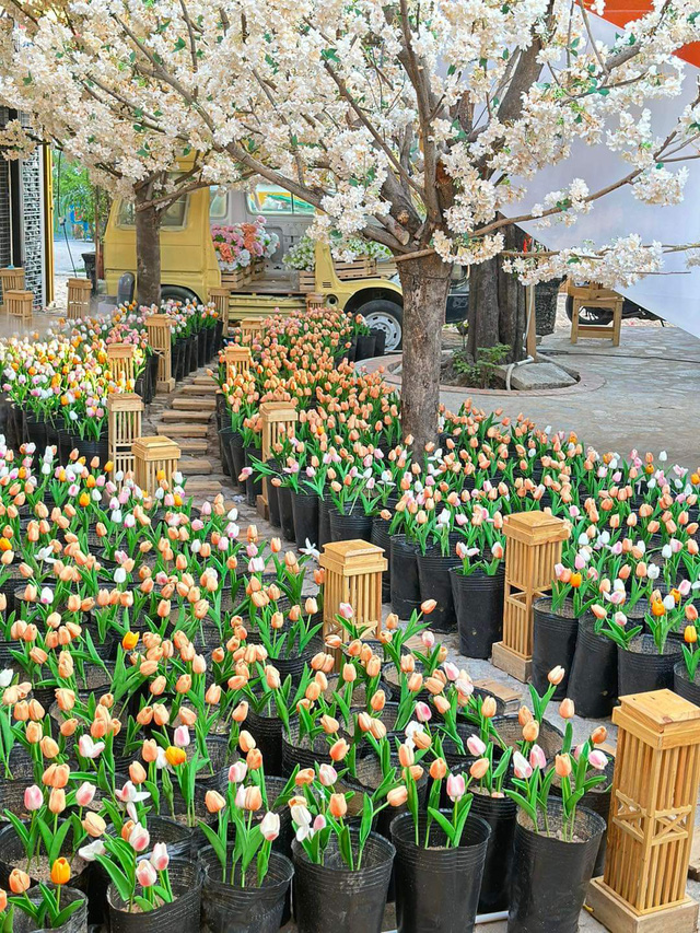 Cận cảnh quán cà phê có vườn hoa tulip gây sốt ở Thủ Đức -ẢNH: TIỆM TRÀ KIMWON