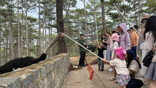 Thêm một địa chỉ gợi ý để gặp ‘bộ trưởng ngoại giao’ capybara tại Đà Lạt- Ảnh 4.