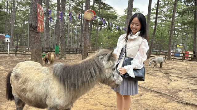 Thêm một địa chỉ gợi ý để gặp ‘bộ trưởng ngoại giao’ capybara tại Đà Lạt- Ảnh 5.