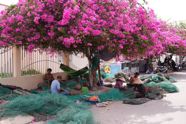 Một ngày ở Nha Trang, làm gì để không uổng phí?- Ảnh 9.