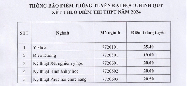 Đã có điểm chuẩn các trường ngành y năm 2024- Ảnh 10.