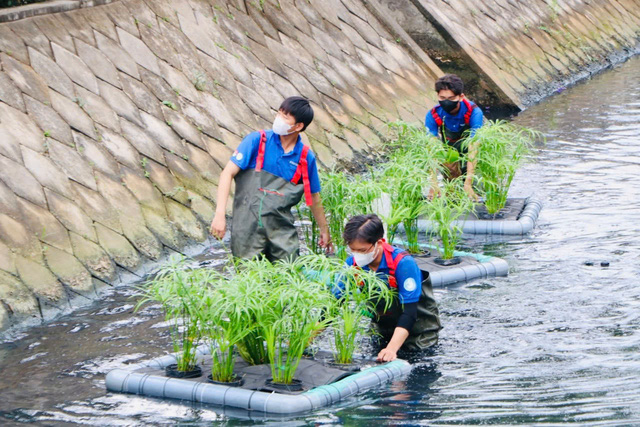 Mô hình làm bè trồng cây thủy sinh của đoàn viên quận 12- Ảnh 3.